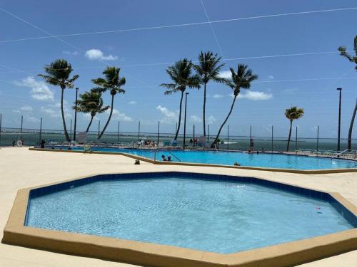Cudjoe KeyIsland Oasis ~ YOUR Paradise Awaits!的棕榈树海滩旁的大型游泳池