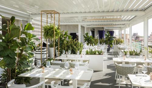罗马The Tribune, part of JdV by Hyatt的一间拥有白色桌子和盆栽植物的餐厅