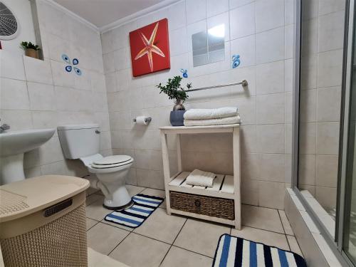 开普敦Walters Lane Economy Apartment 1 - No Loadshedding的浴室配有卫生间、盥洗盆和淋浴。