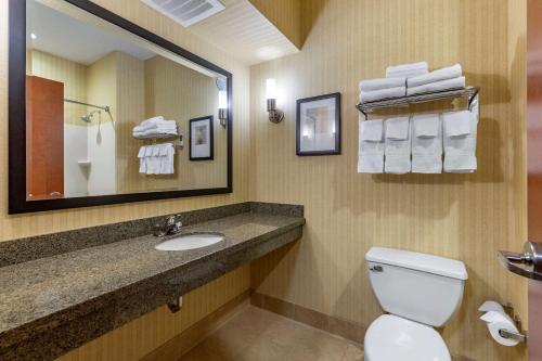 谢尔比Comfort Inn & Suites Gateway to Glacier National Park的一间带卫生间、水槽和镜子的浴室
