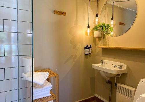 斯诺厄拜克Hotel Blomme's Place的一间带水槽和镜子的浴室