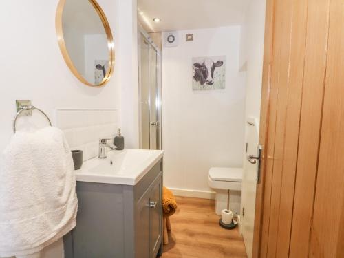 莫尔德Primrose Cottage的一间带水槽、镜子和卫生间的浴室