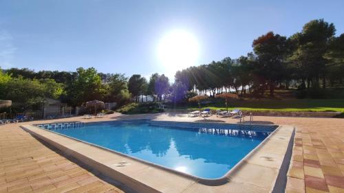 莫拉塔利亚山谷庄园酒店的一个带椅子和树木的大型蓝色游泳池