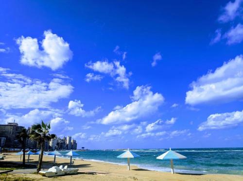 亚历山大شقة فندقية مكيفة ميامي ع البحر مباشرةً的海滩上设有遮阳伞,海洋上设有建筑