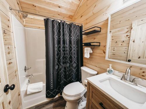 HartwellCabin #10 One Bedroom W Kitchenette的浴室配有卫生间、盥洗盆和淋浴。