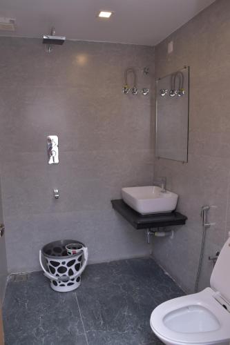 斯里卡拉哈斯蒂Hotel Bluestone的一间带水槽、卫生间和镜子的浴室