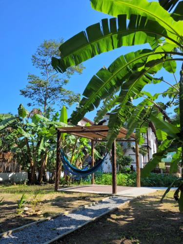 鲍巴Pousada Tartarugas de Paúba的棕榈树公园的吊床