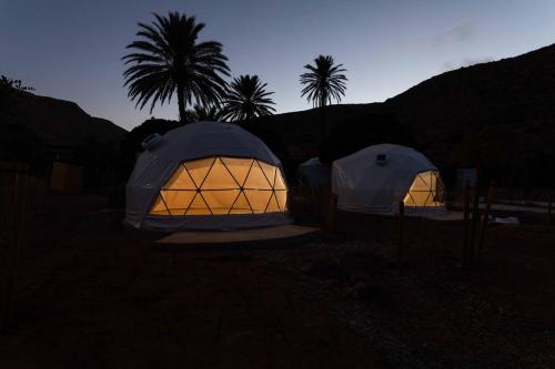 拉斯内格拉斯wecamp Cabo de Gata的两个晚上点燃的帐篷,背后是棕榈树