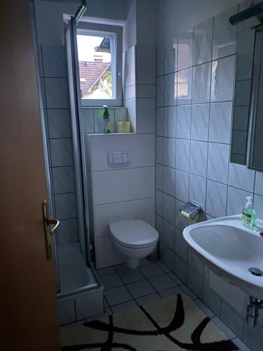 克拉根福Appartement Wörthersee的一间带卫生间和水槽的浴室