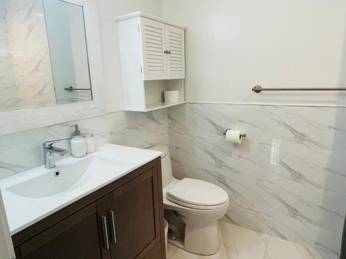 温哥华Adorable 2-Bedroom Basement in Vancouver的浴室配有白色水槽和卫生间。