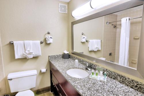克利尔沃特Holiday Inn St. Petersburg N - Clearwater, an IHG Hotel的一间带水槽、卫生间和镜子的浴室