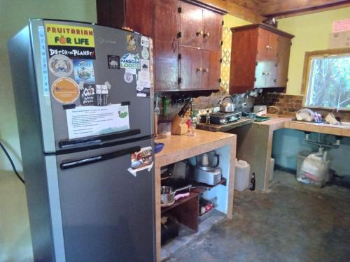 Agua AzulHostel Del Lago Yojoa Backpackers的厨房配有不锈钢冰箱和台面