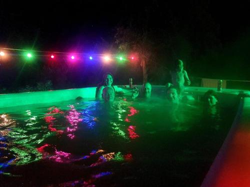 帕维洛斯塔Butterfly House的一群人晚上在游泳池里