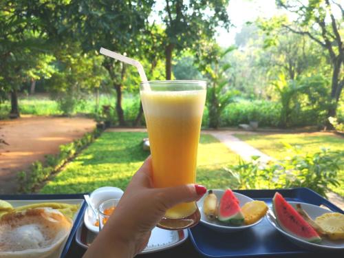 锡吉里亚The Cattleya Guest House的持有一杯橙汁和一盘水果的人