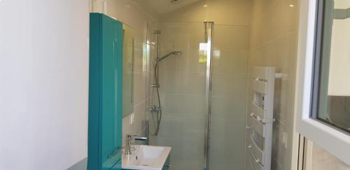 比斯卡罗斯Chambre d'hôtes Entre-deux Lacs的一间带玻璃淋浴和水槽的浴室