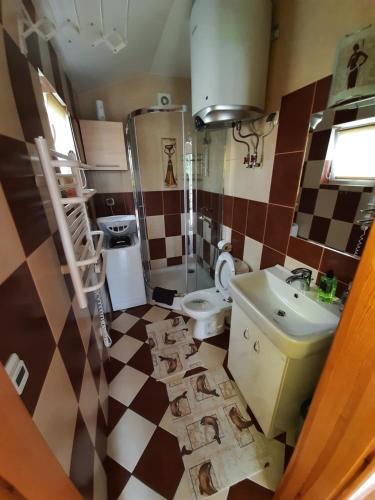 鲁比亚托沃Domek Drewniany 2的浴室配有卫生间水槽和淋浴。