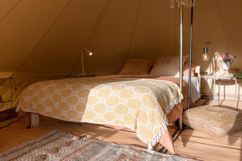 Glamping La Mimosa CONIL平面图