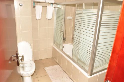 亚的斯亚贝巴卡莱布酒店的一间带卫生间和淋浴的浴室