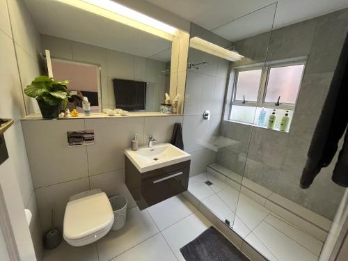 开普敦Seapoint Gem的浴室配有卫生间、盥洗盆和淋浴。