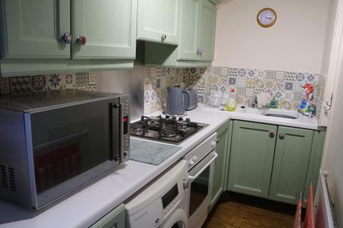 斯特劳德Flat 1 - The Old Mill - Bowbridge Lock - Stroud的厨房配有绿色橱柜和炉灶。 顶部烤箱