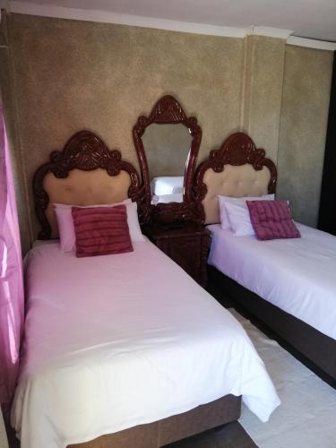昆斯敦Nonesi Lodge的一间卧室配有两张床和镜子