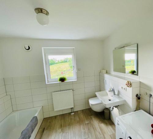 希尔波尔特施泰因Moderne Ferienwohnung am Rothsee的浴室配有盥洗盆、卫生间和浴缸。