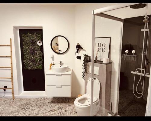 巴斯托涅La Villa Bastogne chambre d'hôtes 1的一间带卫生间和水槽的浴室