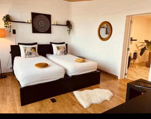 巴斯托涅La Villa Bastogne chambre d'hôtes 1的一间卧室配有两张带白色床单和镜子的床