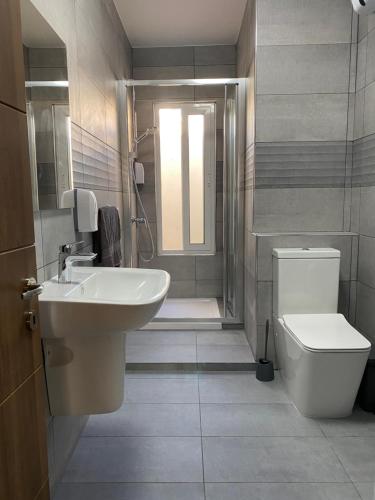 埃尔哥茨拉Seaside Apartment in Gzira的一间带水槽、卫生间和淋浴的浴室