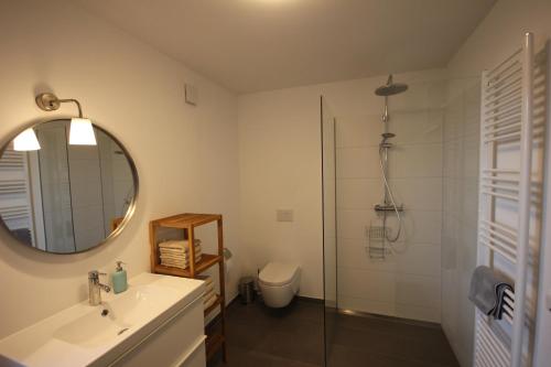 布兰肯堡An der Kirchtreppe的带淋浴、盥洗盆和镜子的浴室