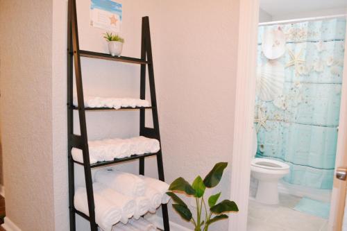克利尔沃特Forever Summer - Entire House! with KING Bed!的一间带卫生间的浴室和一个带毛巾的架子