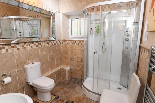 斯旺西Luxury Suite in quiet countryside location的带淋浴、卫生间和盥洗盆的浴室