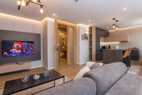 萨拉热窝Mayisa Apartments的客厅配有沙发和墙上的电视