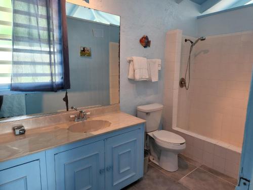 克里斯琴斯特德The View的一间带水槽、卫生间和淋浴的浴室