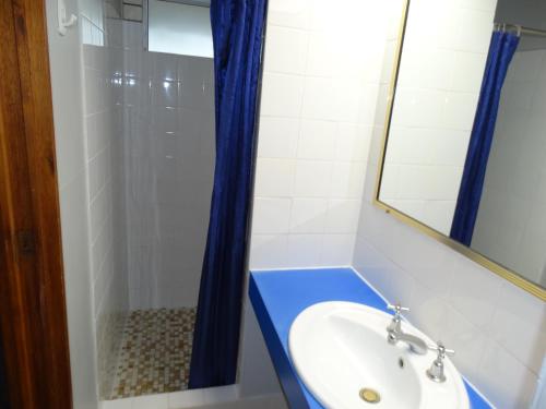 GayndahGayndah A Motel的浴室配有蓝色水槽和淋浴。