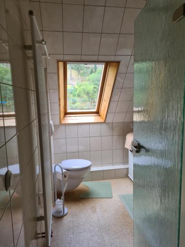 奥古斯都堡Ferienwohnung Augustusburg的一间带卫生间和窗户的浴室