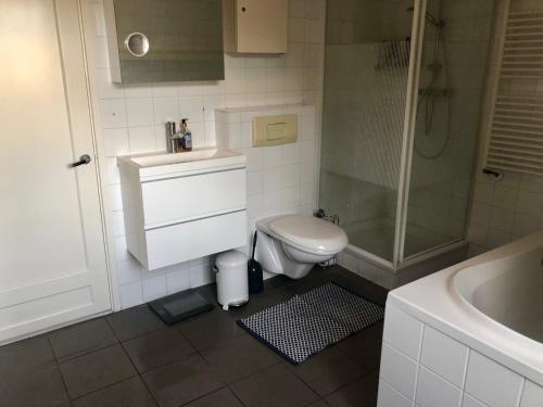 赞德沃特Family Beach House Zandvoort City Center的浴室配有卫生间、盥洗盆和淋浴。