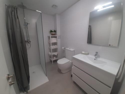 瓦伦西亚Sol Playa Suites的浴室配有卫生间、盥洗盆和淋浴。