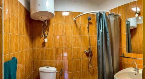 AlsónémediVidéki Megálló Vendégház的带淋浴、卫生间和盥洗盆的浴室