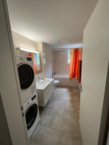 SchattdorfGreat new apartment surrounded by nature.的小型浴室设有洗衣机和烘干机