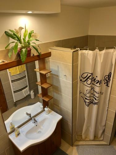米什科尔茨道波曹Holiday Home Siraly的一间带水槽和淋浴帘的浴室