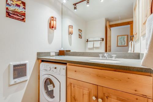 提顿村Tensleep B9的一间带水槽和洗衣机的浴室