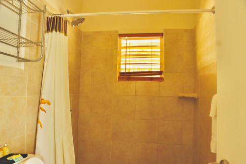 拿撒勒Northside Hideaway的带淋浴和浴帘的浴室