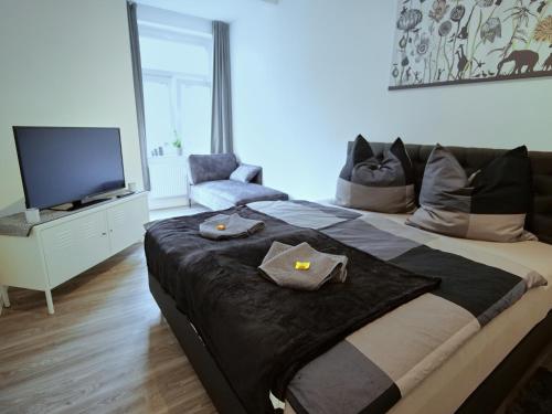 爱尔福特Appartement OTTO I - Erfurt Zentrum的一间卧室配有一张大床和电视