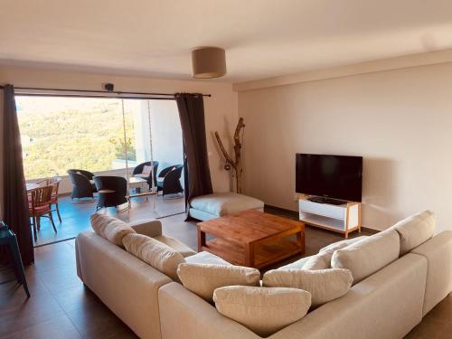 帕皮提Meherio - Bel Appartement vue mer à TAHITI的带沙发和平面电视的客厅