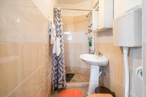 莫托文Apartments with a parking space Motovun, Central Istria - Sredisnja Istra - 14160的一间带水槽和淋浴的小浴室