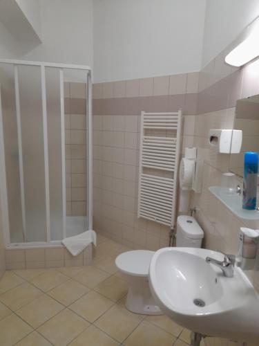考波什堡A Bárány的一间带水槽、卫生间和淋浴的浴室