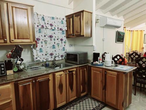 Florence HallL&V Paradise Vacation # 1的厨房配有水槽和微波炉