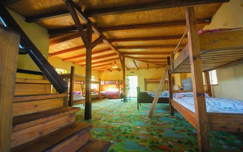 柏林Sandino Hostel - Solo Traveler Sanctuary的一间卧室配有两张双层床。