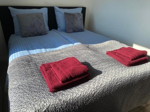 海边的艾格蒙特亚特兰蒂斯公寓的床上有两个红色枕头的床